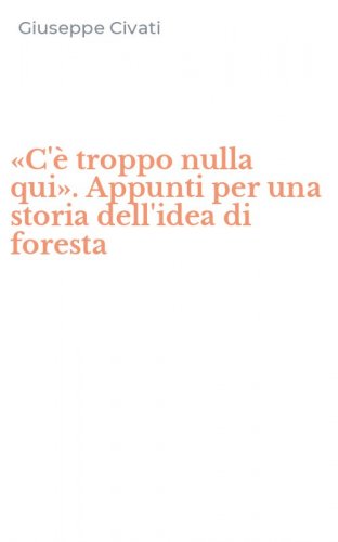 &laquo;C'&egrave; troppo nulla qui&raquo;. Appunti per una storia dell'idea di foresta