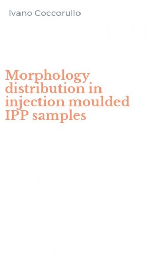 Morphology distribution in injection moulded IPP samples