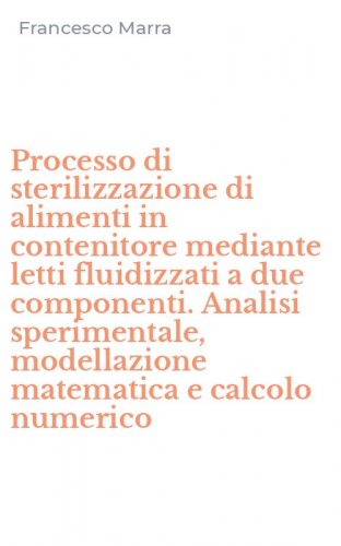 Processo di sterilizzazione di alimenti in contenitore mediante letti fluidizzati a due componenti. Analisi sperimentale, modellazione matematica e calcolo numerico