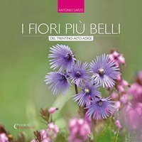I fiori pi&ugrave; belli del Trentino-Alto Adige