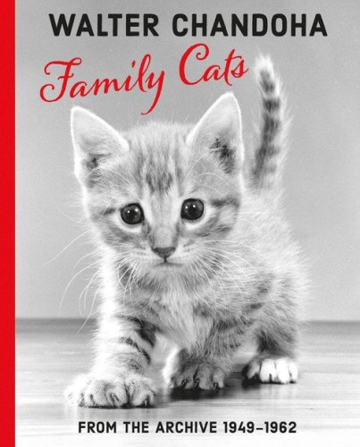 Family cats. From the archive 1949-1962