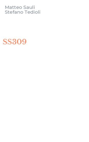 SS309