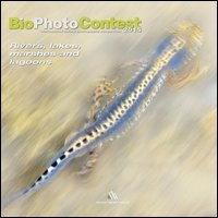 Bio photo contest 2015. Rivers, lakes, marshes and lagoons