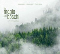 La magia dei boschi del Friuli Venezia Giulia. Ediz. italiana e inglese
