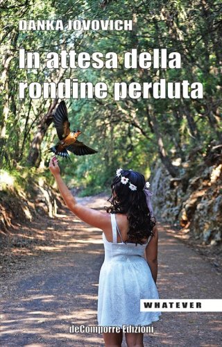 In attesa della rondine perduta