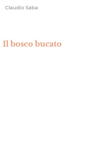Il bosco bucato