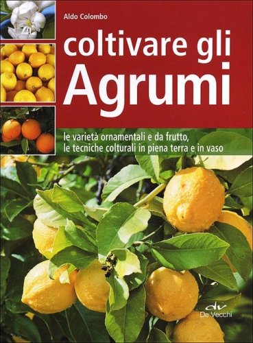 Coltivare gli agrumi. Le variet&agrave; ornamentali e da frutto, le tecniche colturali in piena terra e in vaso