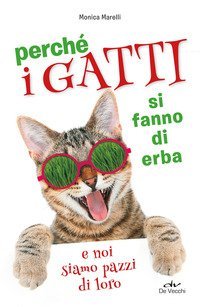 Perch&eacute; i gatti si fanno di erba e noi siamo pazzi di loro