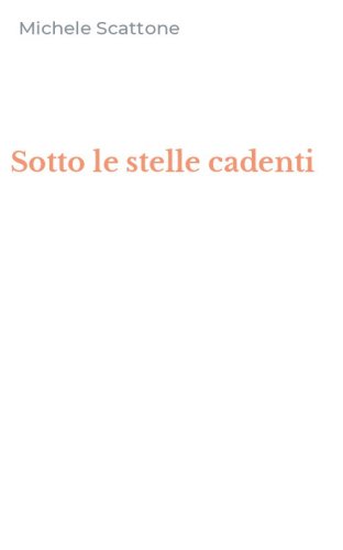 Sotto le stelle cadenti