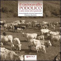 Il caciocavallo podolico e altre storie silvo-pastorali. Cronaca fotografica dai pascoli appenninici