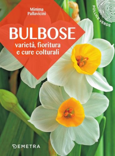 Bulbose. Variet&agrave;, fioritura e cure colturali