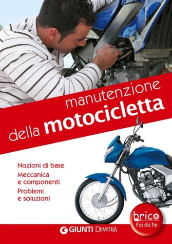 Manutenzione della motocicletta. Nozioni di base, meccanica e componenti, problemi e soluzioni - PROBLEMI E SOLUZIONI
