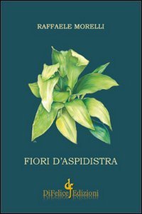 Fiori d'aspidistra