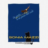 Un gatto a un passo dal cielo