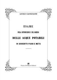Esame della distribuzione e del dominio delle acque potabili in Sorrento Piano e Meta