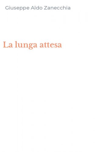 La lunga attesa