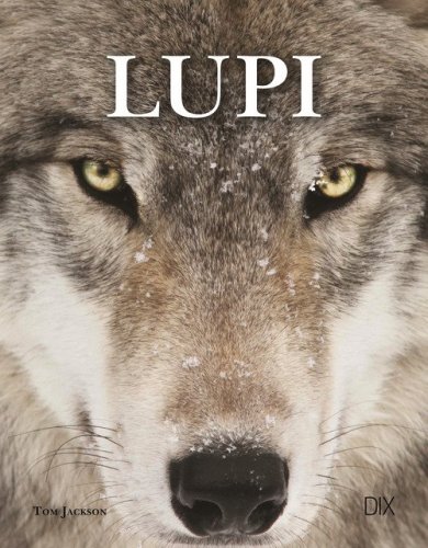 Lupi