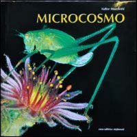Microcosmo