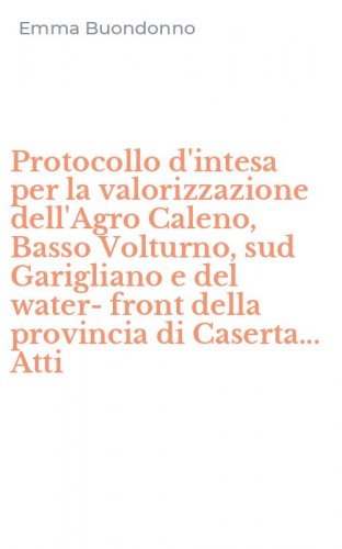 Protocollo d'intesa per la valorizzazione dell'Agro Caleno, Basso Volturno, sud Garigliano e del water-front della provincia di Caserta... Atti