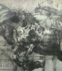 Ex animo. The work of Faith Forty Seven
