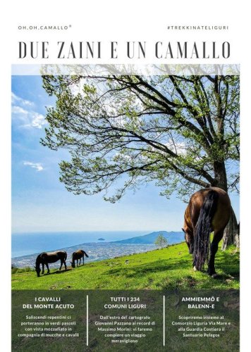 Due Zaini e Un Camallo