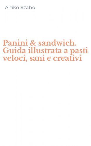 Panini & sandwich. Guida illustrata a pasti veloci, sani e creativi