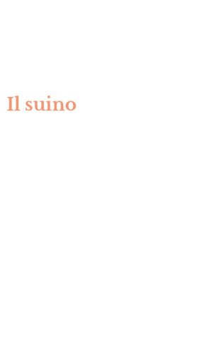Il suino