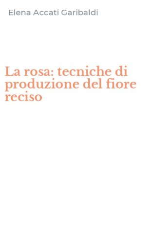 La rosa: tecniche di produzione del fiore reciso