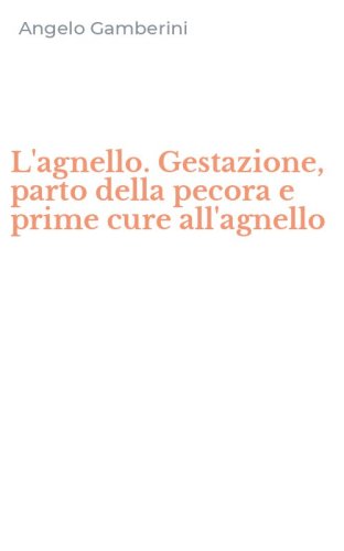 L'agnello. Gestazione, parto della pecora e prime cure all'agnello