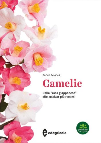 Camelie. Dalla &laquo;rosa giapponese&raquo; alle cultivar pi&ugrave; recenti