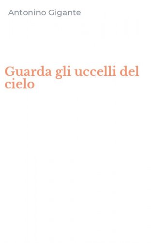 Guarda gli uccelli del cielo