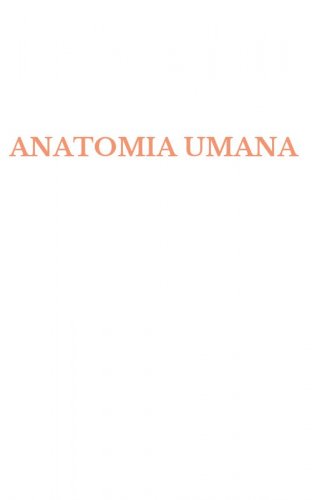 ANATOMIA UMANA