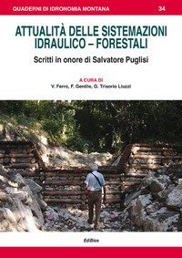Attualit&agrave; delle sistemazioni idraulico-forestali. Scritti in onore di Salvatore Puglisi