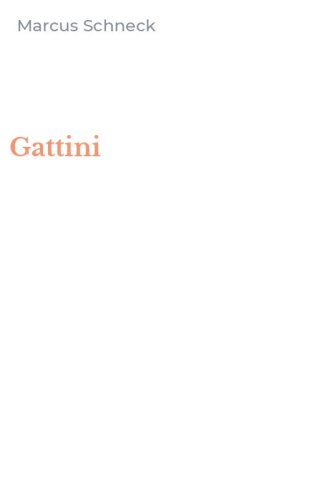 Gattini