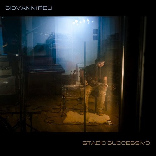 Stadio successivo