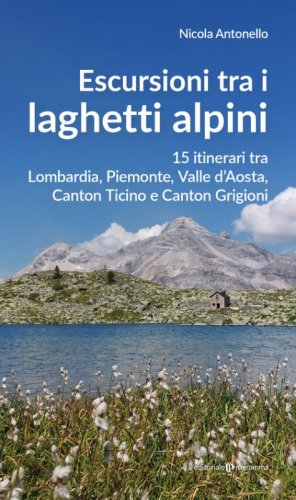 Escursioni tra i laghetti alpini. 15 itinerari tra Lombardia, Piemonte, Valle d'Aosta, Canton Ticino e Canton Grigioni