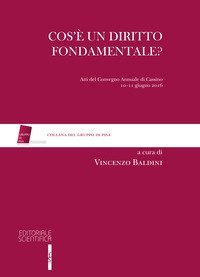 Cos'&egrave; un diritto fondamentale? Atti del Convegno (Cassino, 10-11 giugno 2016)