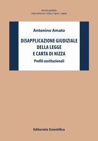 Disapplicazione giudiziale della legge e Carta di Nizza. Profili costituzionali