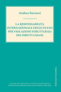 La responsabilit&agrave; internazionale dello Stato per violazioni strutturali dei diritti umani