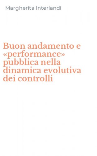 Buon andamento e &laquo;performance&raquo; pubblica nella dinamica evolutiva dei controlli