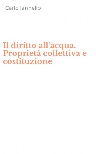 Il diritto all'acqua. Propriet&agrave; collettiva e costituzione
