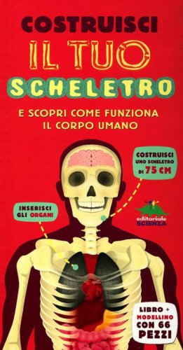 Costruisci il tuo scheletro e scopri come funziona il corpo umano