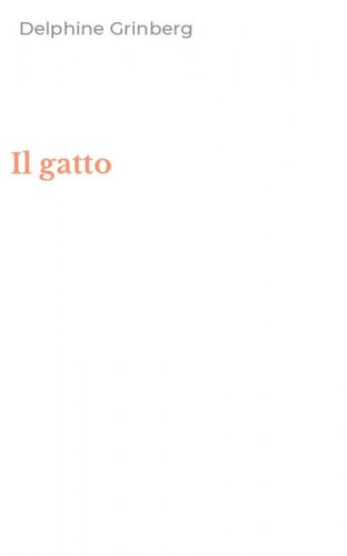Il gatto
