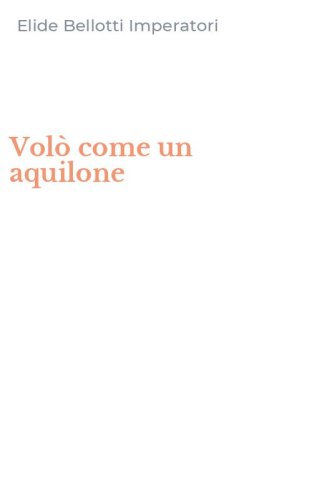 Vol&ograve; come un aquilone