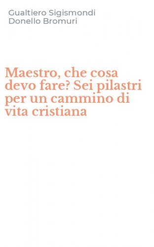 Maestro, che cosa devo fare? Sei pilastri per un cammino di vita cristiana