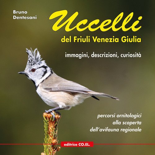 Uccelli del Friuli Venezia Giulia. Immagini, descrizioni, curiosit&agrave;. Percorsi ornitologici alla scoperta dell'avifauna regionale