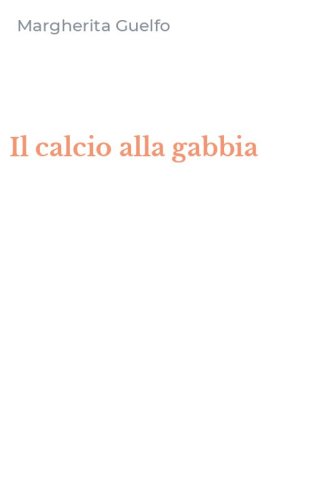 Il calcio alla gabbia