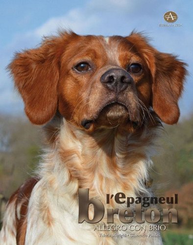 L'&eacute;pagneul breton