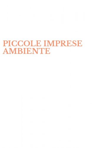 PICCOLE IMPRESE AMBIENTE