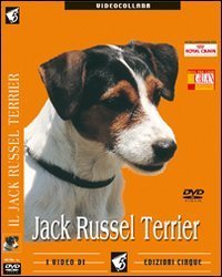 Jack Russell Terrier. DVD